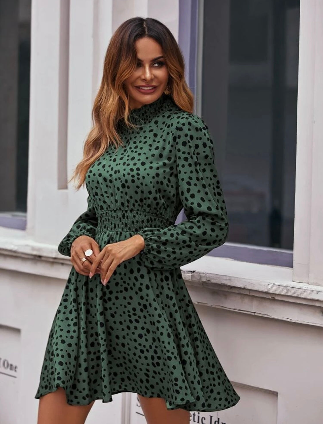 Print Shirred Waist Dress
