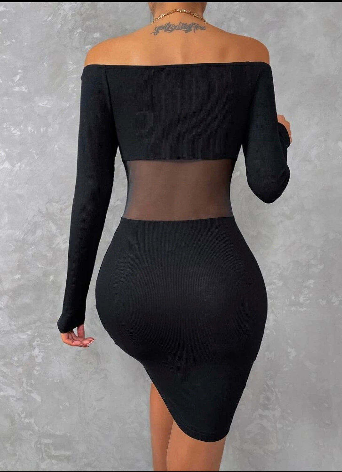 Mesh Panel Bodycon Dress
